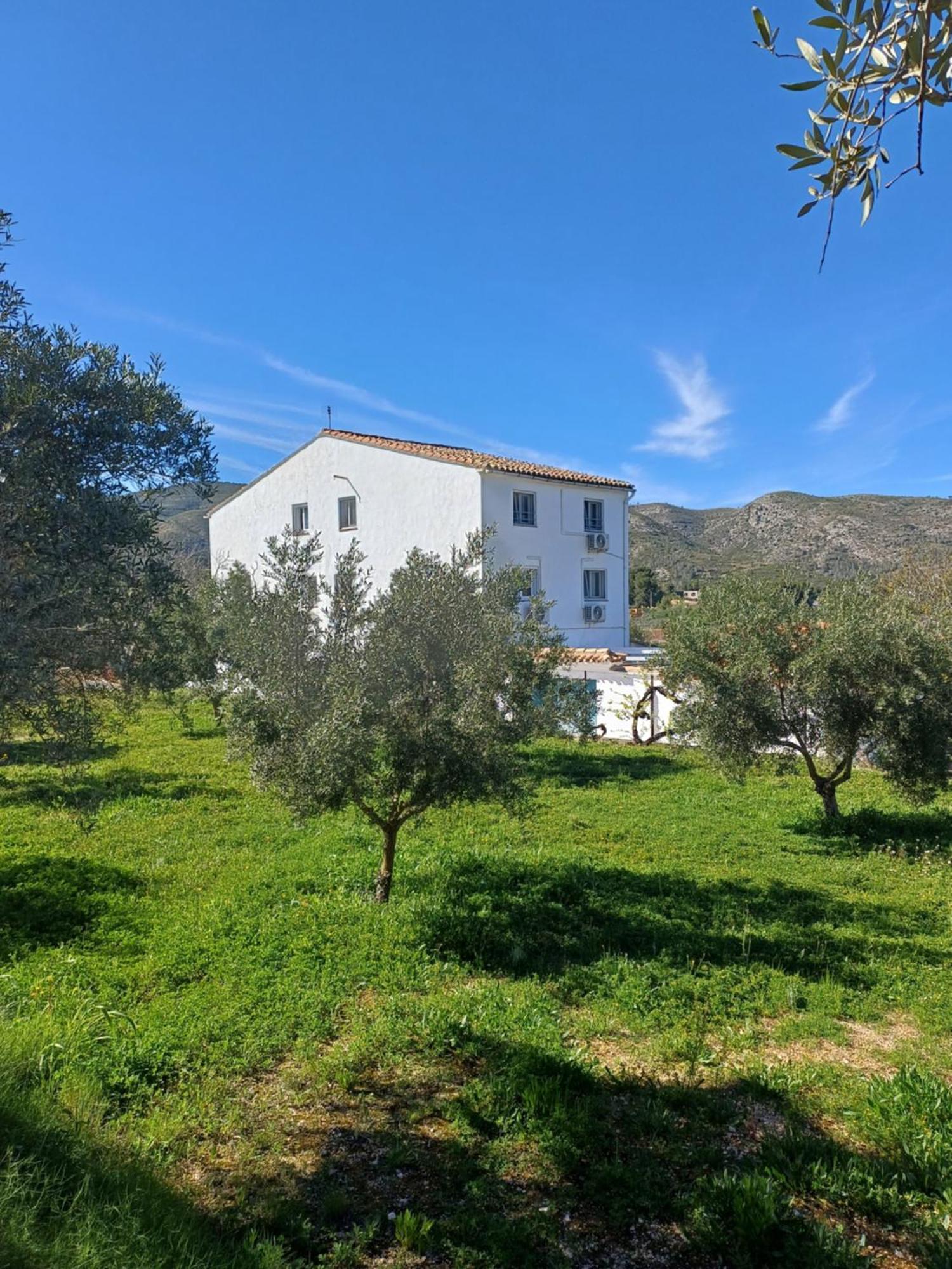 B&B Casa Vitalidad Онтеньенте Экстерьер фото